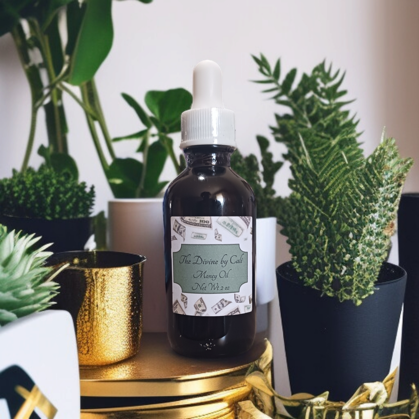 Money Oil in Dropper Bottles